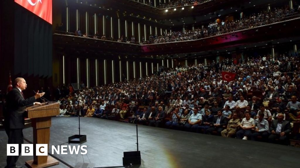 Turkey 'insult' lawsuits dropped by President Erdogan BBC News