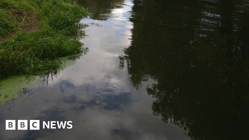 Northumbrian Water pays out £1.1m over pollution breaches