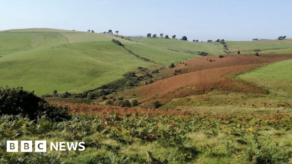 Shropshire land trust bidding to buy Norbury Hill 