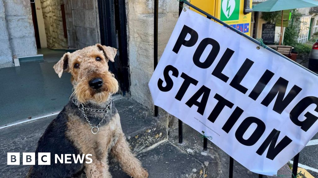 Why some council elections in Essex could be cancelled this year