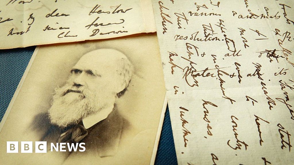 New light shed on Charles Darwin's 'abominable mystery' - BBC News