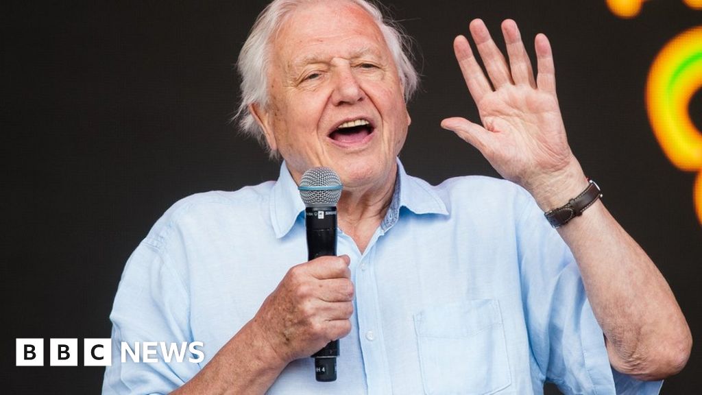 David Attenborough To Front BBC S Extinction The Facts BBC News    108405028 Atten Getty 