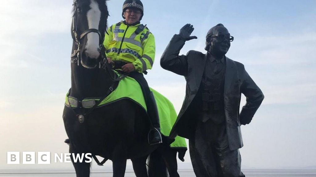 Police horse Morecambe dies at Blackpool football match BBC News