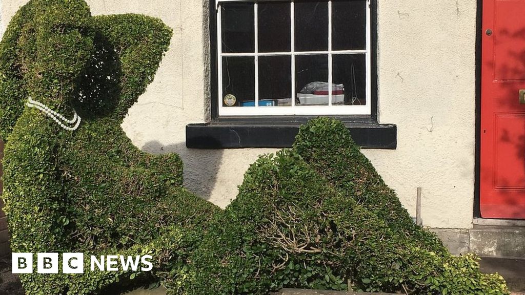 Sheffield Topiarist Disgusted By Drunk Hedge Sex