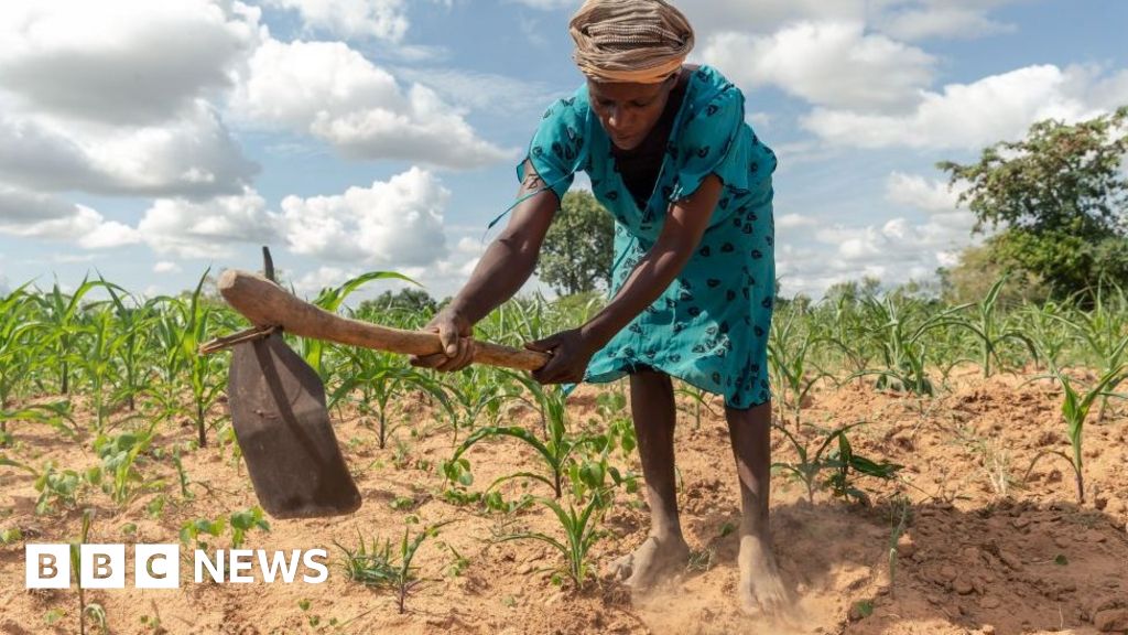 Президентът на Зимбабве Мнангагва обявява национално бедствие заради сушата