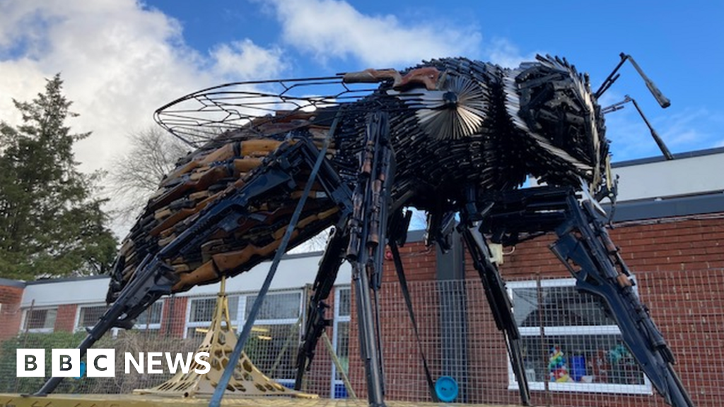 Manchester's 'knife bee' touring region with antiviolence message