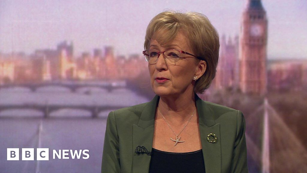 Andrea Leadsom MP It Is Appalling To Consider Another Referendum    106336128 P075rzkn 