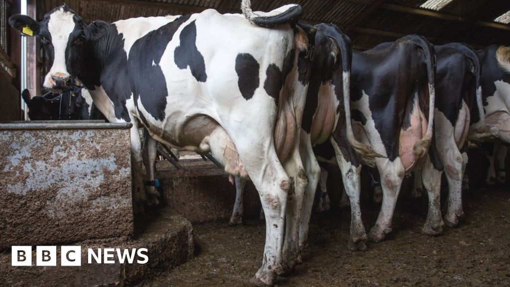 First Milk jobs at risk in Haverfordwest and Aspatria BBC News