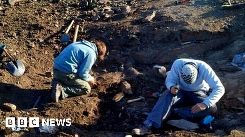 Megaraptor: Fossils of 10m-long dinosaur found in Argentina - BBC News