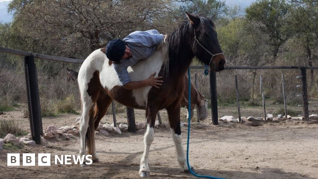 The horse whisperers of Argentina