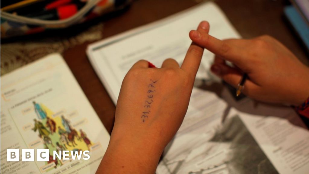 The homework strike audiobook 05 picture