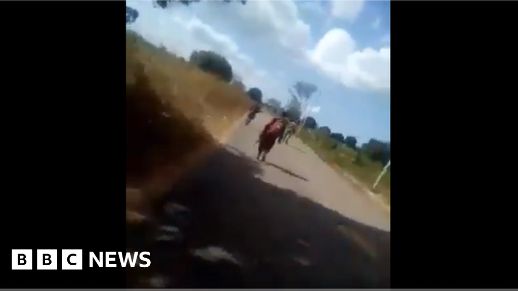 Mozambique: Army to investigate 'horrific killing' video