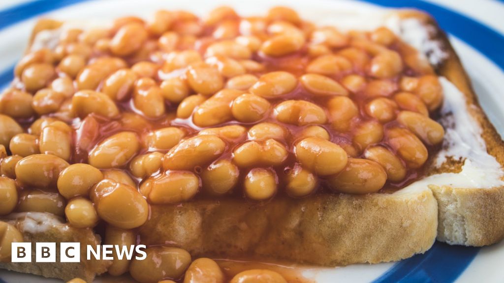 British baked beans become reality after successful Lincolnshire harvest