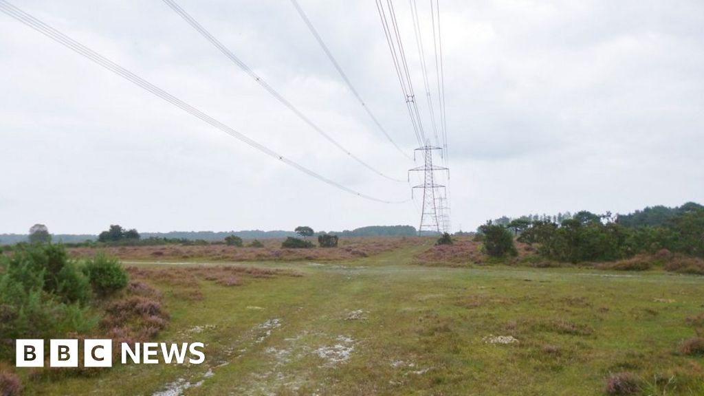 New Forest pylon removal on hold 