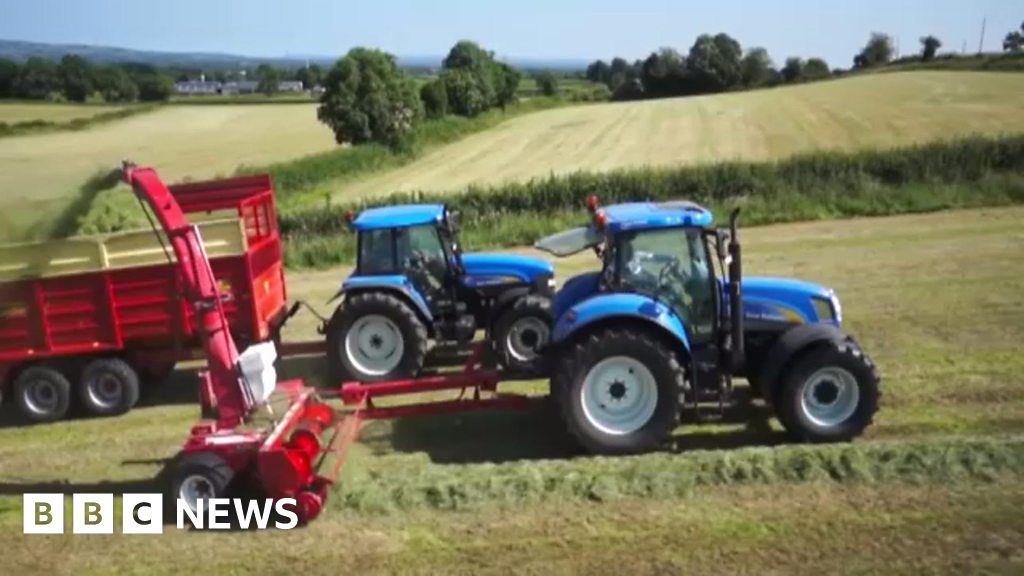 Ballymena farmers reap benefits of tractor fascination BBC News