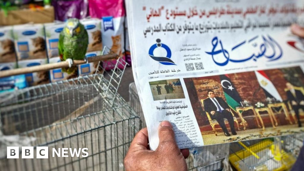 Libya media guide - BBC News