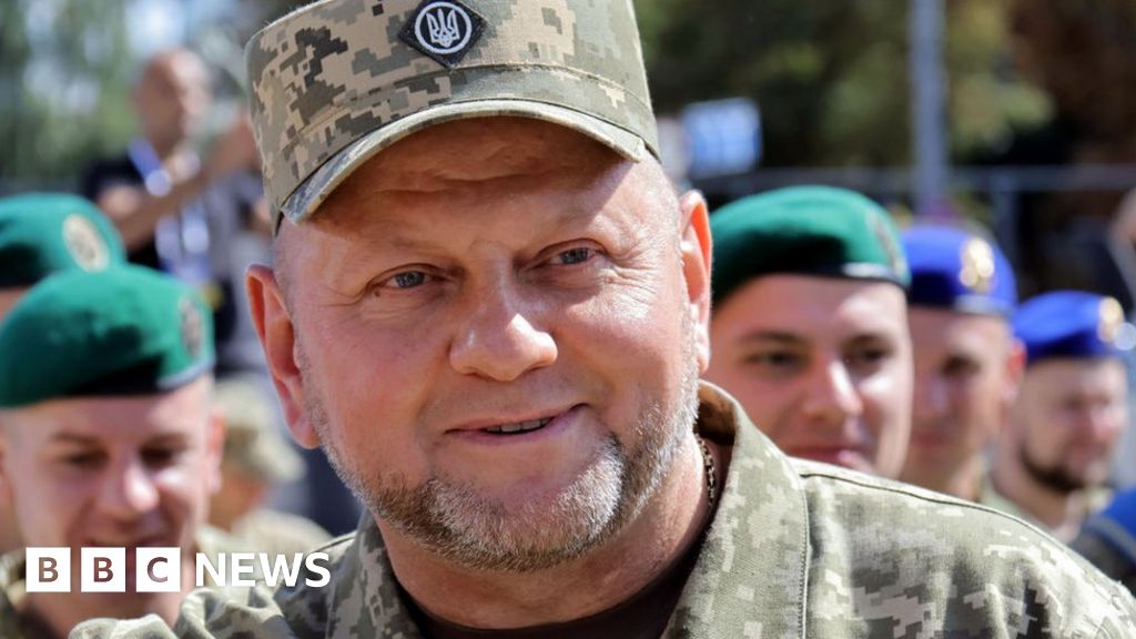 Valery Zalozhny: Oekraïne benoemt de voormalige legercommandant tot ambassadeur in het Verenigd Koninkrijk