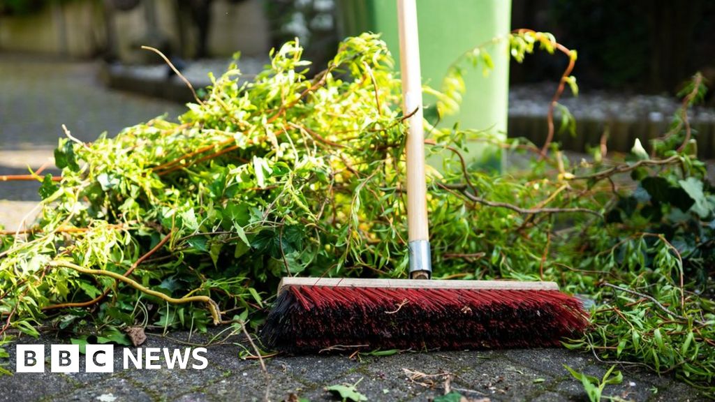 sandwell-council-considers-charging-for-collecting-garden-waste