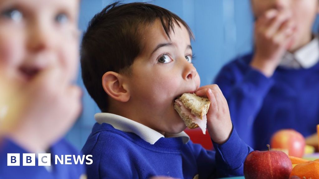Free school meals: NI ‘holiday hunger’ payments axed – NewsEverything Northern Ireland