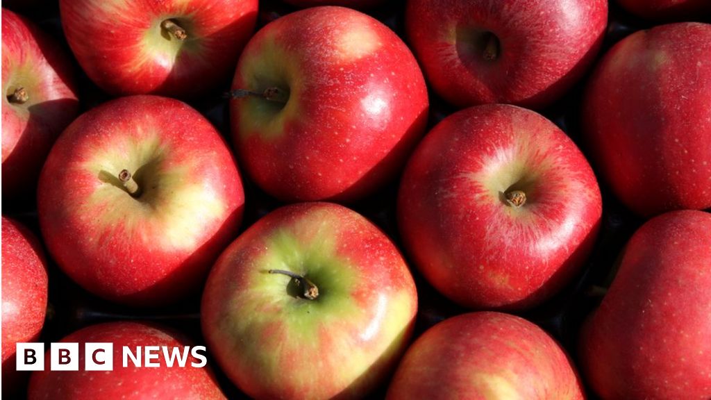 Apfelbauern in Kent waren aufgrund finanzieller Verluste gezwungen, Obstplantagen auszugraben