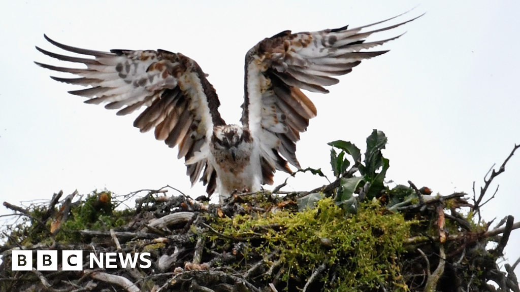 Failed festival site bought by taxpayers worth £500k less