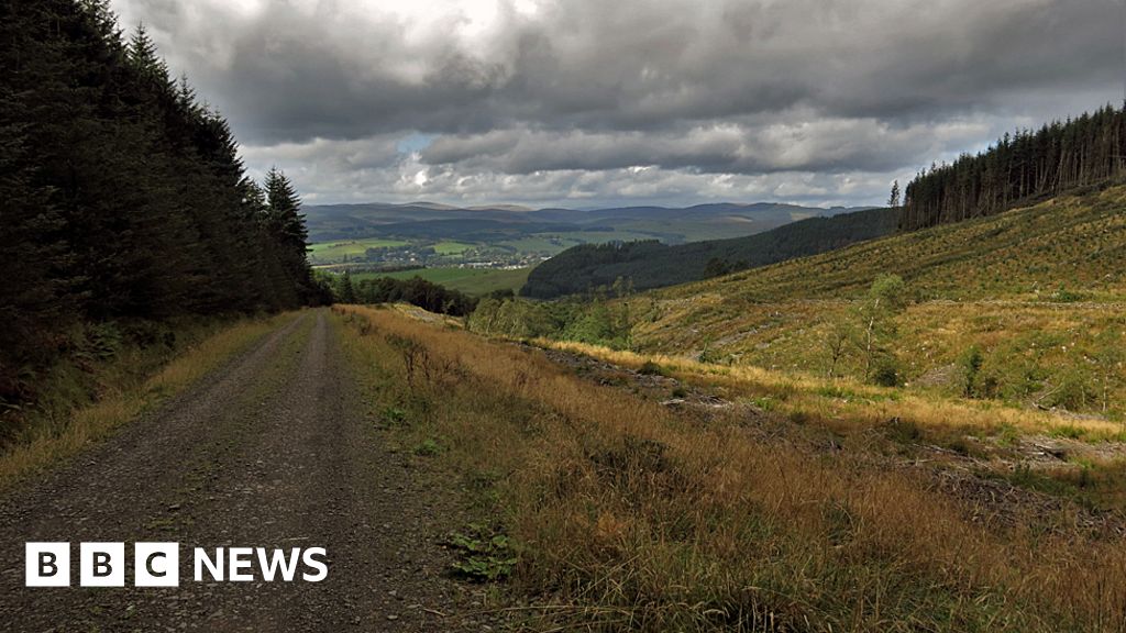 Missing Carsethorn woman traced safe and well - BBC News