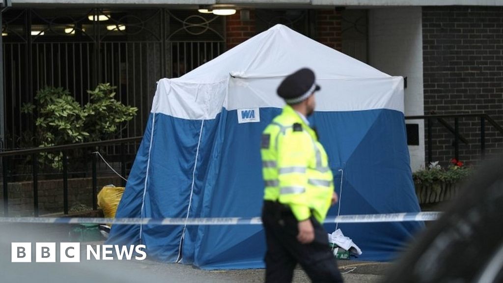Chalk Farm stabbing: Woman arrested over fatal attack