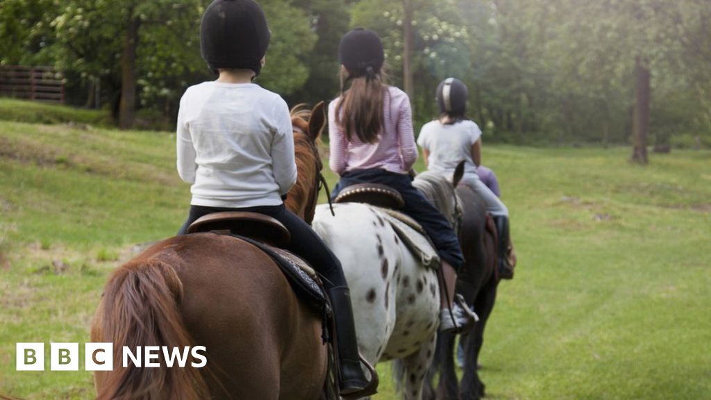 Pony Club Horse riding teacher swore at children, probe finds