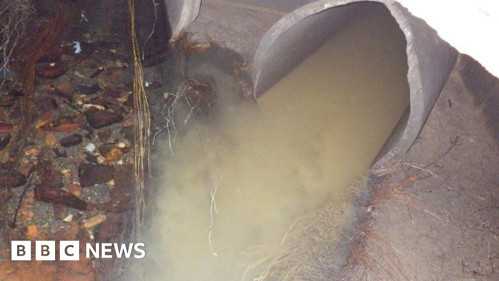Severn Trent fined £426,000 for three sewage leaks BBC News