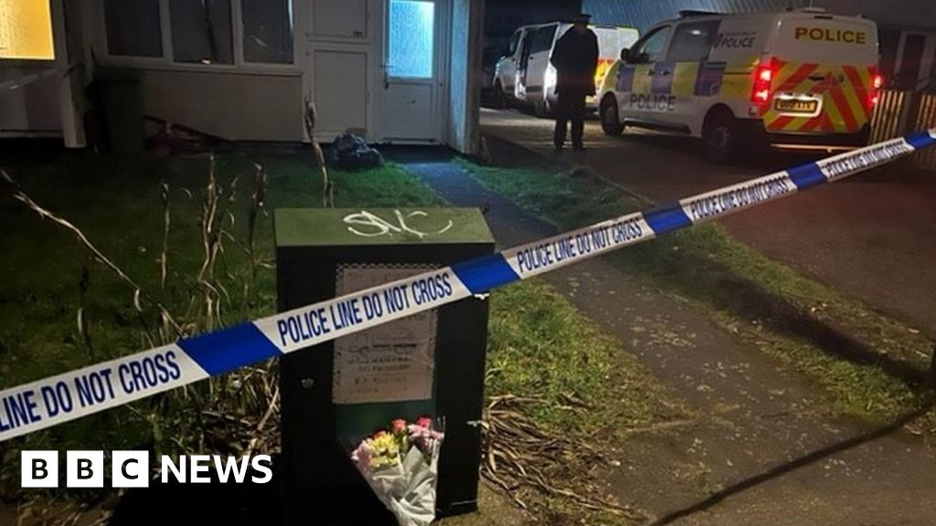 Milton Keynes: Four-year-old girl killed in dog attack – Pakistan and The World News