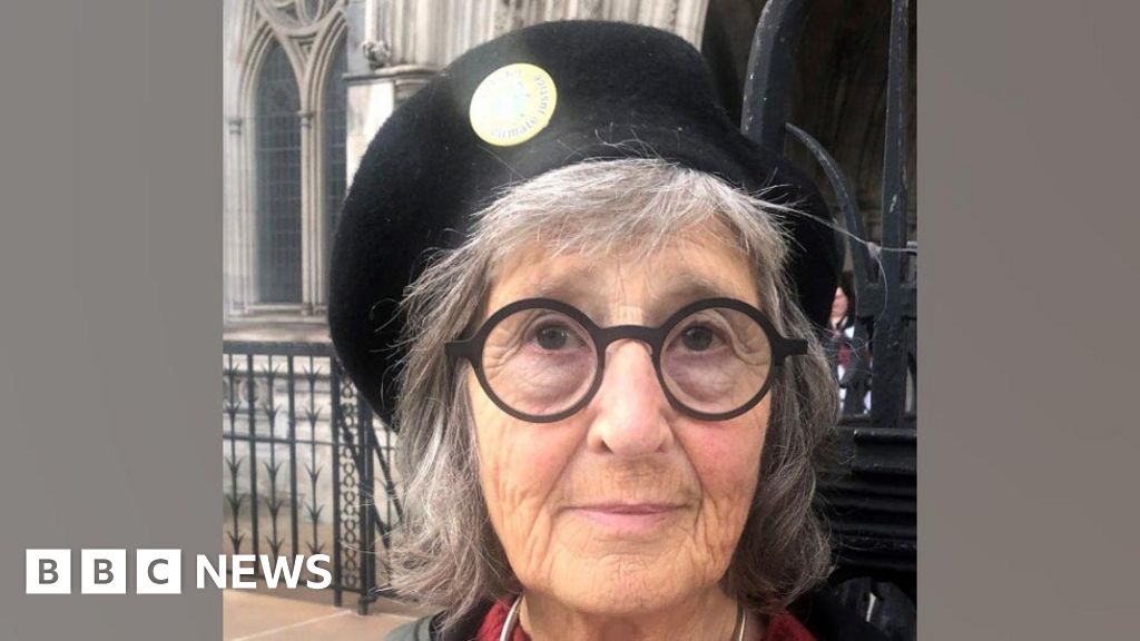 Bristol grandma among Just Stop Oil M25 activists spared jail