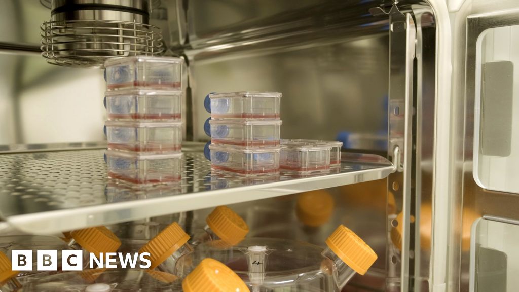 Lab-grown blood given to people in world-first clinical trial