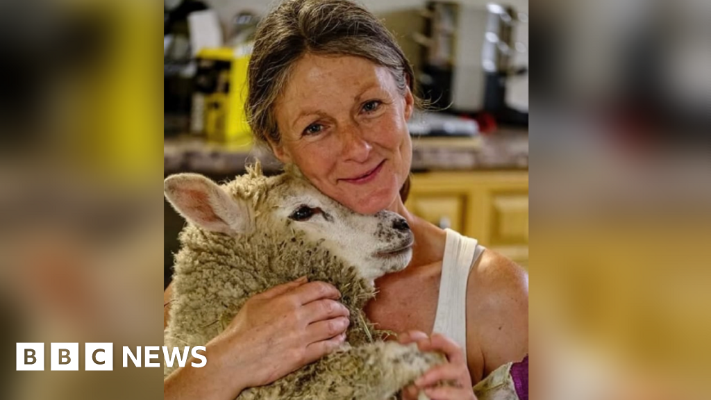 Animal lovers rally to save Carmarthenshire farm sanctuary