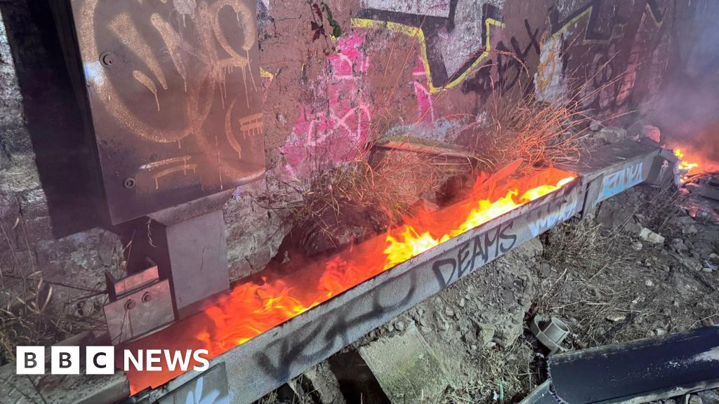 Brockley: Two lines reopen after trackside fire disruption