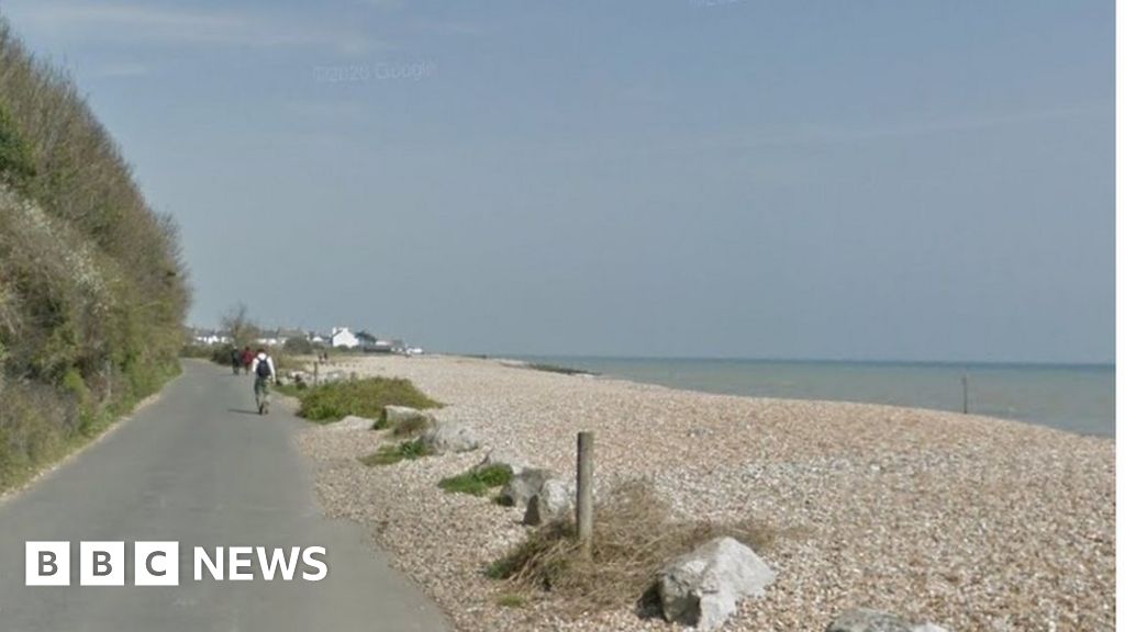 East Kent beaches: Oil deposits and dead birds wash up 