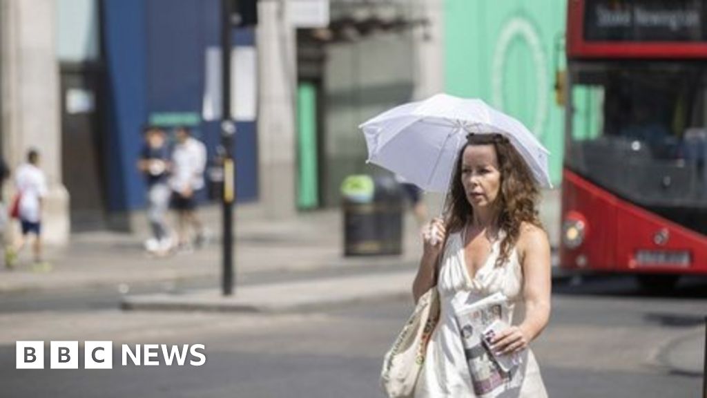 Climate change: Last year’s UK heatwave ‘a sign of things to come’
