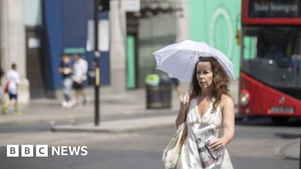 Climate change: Last year's UK heatwave 'a sign of things to come'