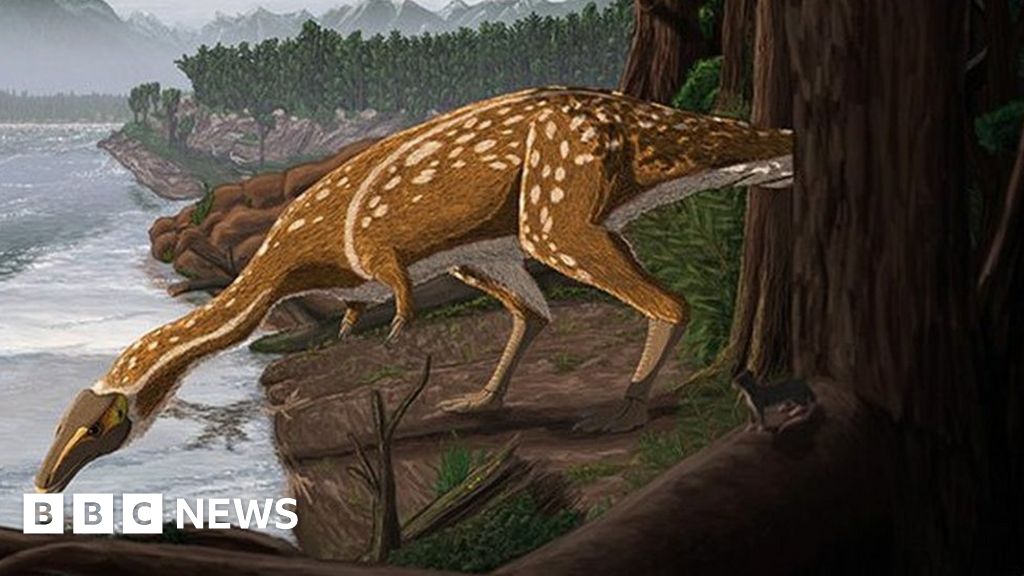 Elaphrosaur: Rare dinosaur identified in Australia BBC News