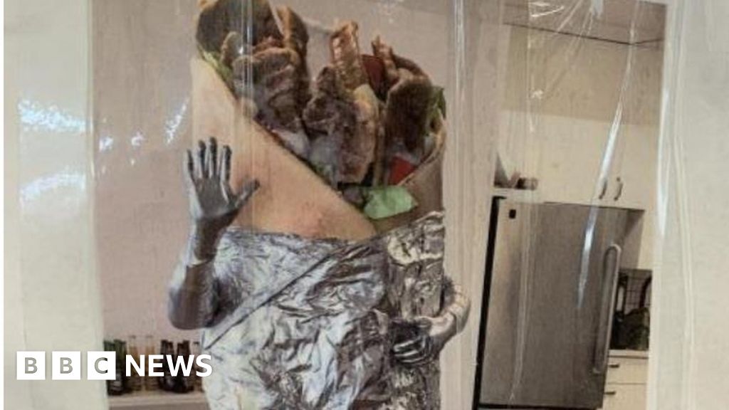 Canadian donair sandwich costume sells for $16,000