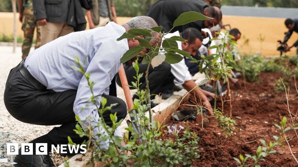 Ethiopia Breaks Tree Planting Record To Tackle Climate Change Bbc News