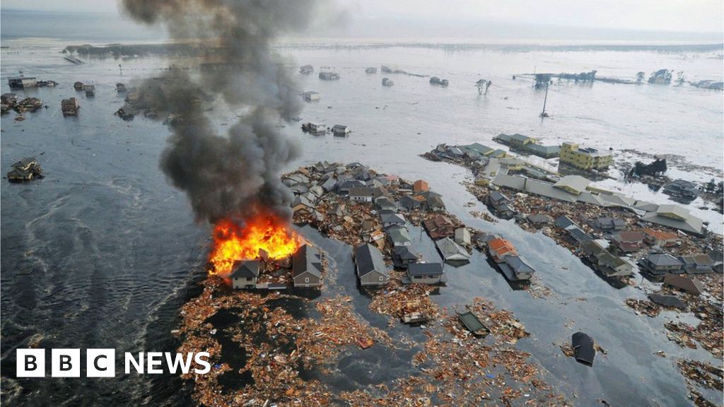 Japan S Tsunami Debris Five Remarkable Stories Bbc News