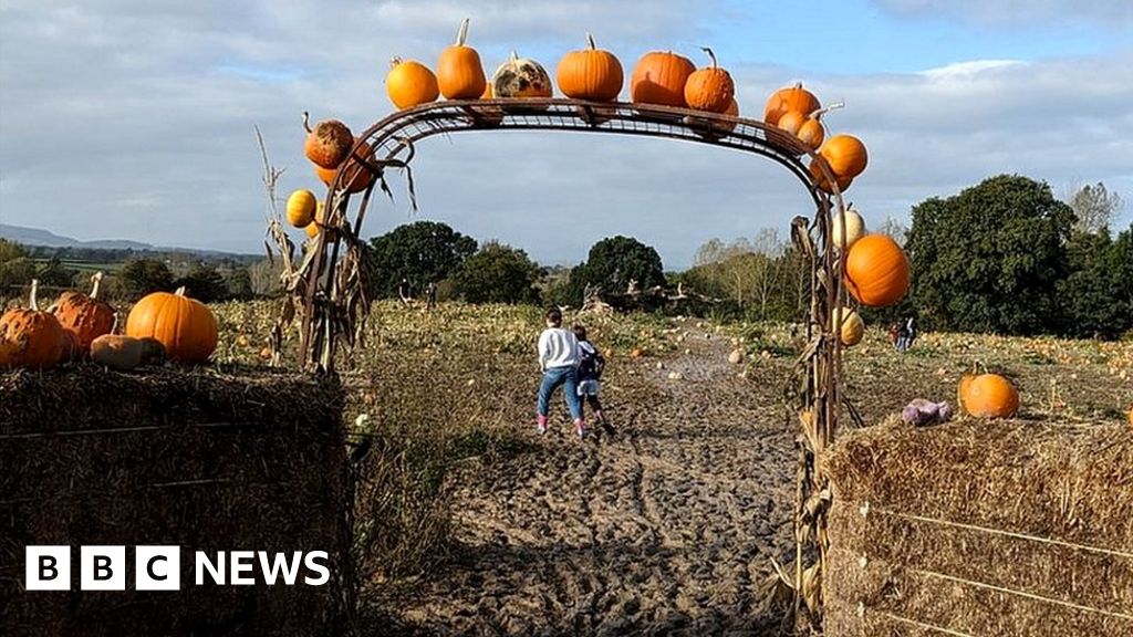 Shropshire pumpkin patch see 3,000 visitors in one day