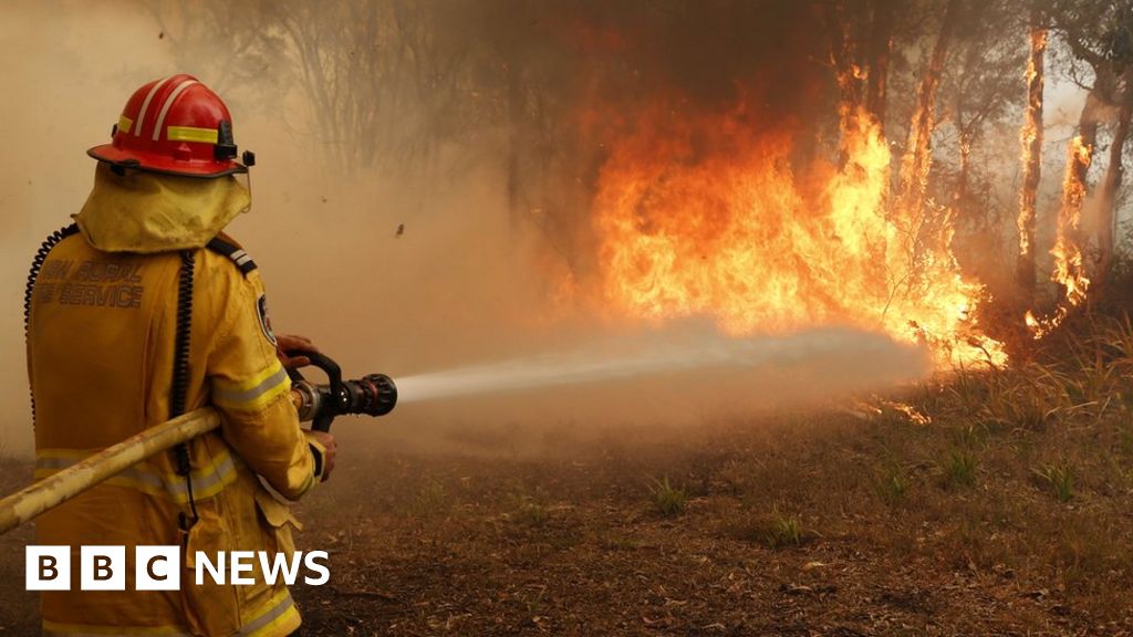 Sausage dog lost in bushfire has emotional reunion with owner