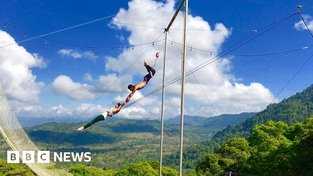 The man who quit his job to teach trapeze in the jungle - BBC News