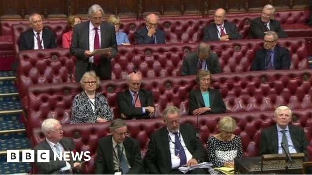 House of Lords Daily allowances for peers set to rise by £5