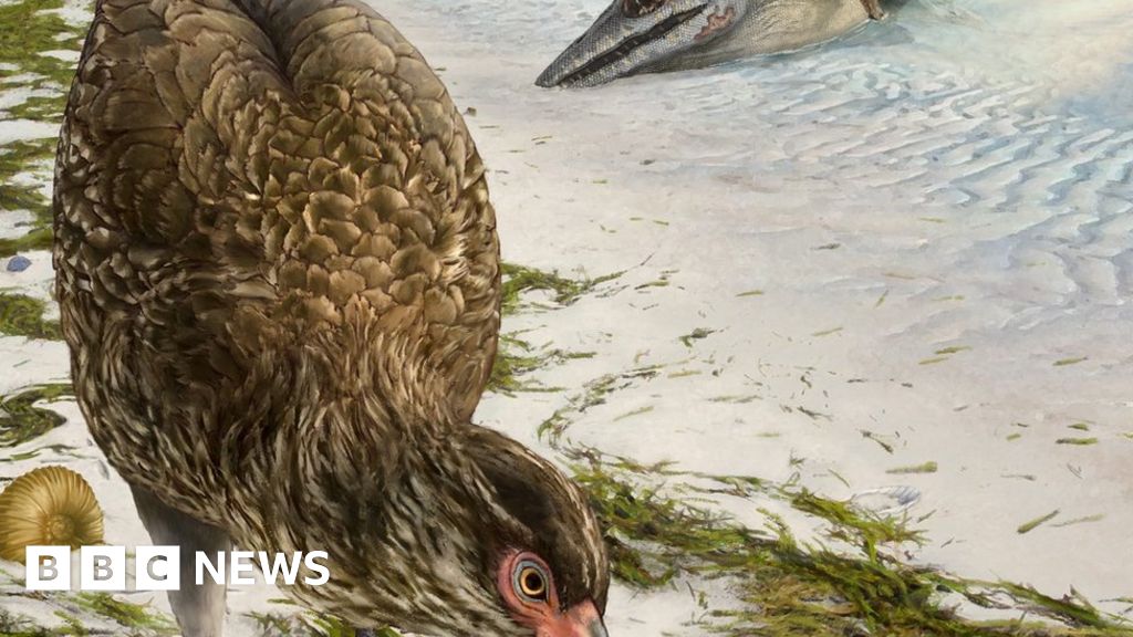 Fossil 'wonderchicken' could be earliest known fowl