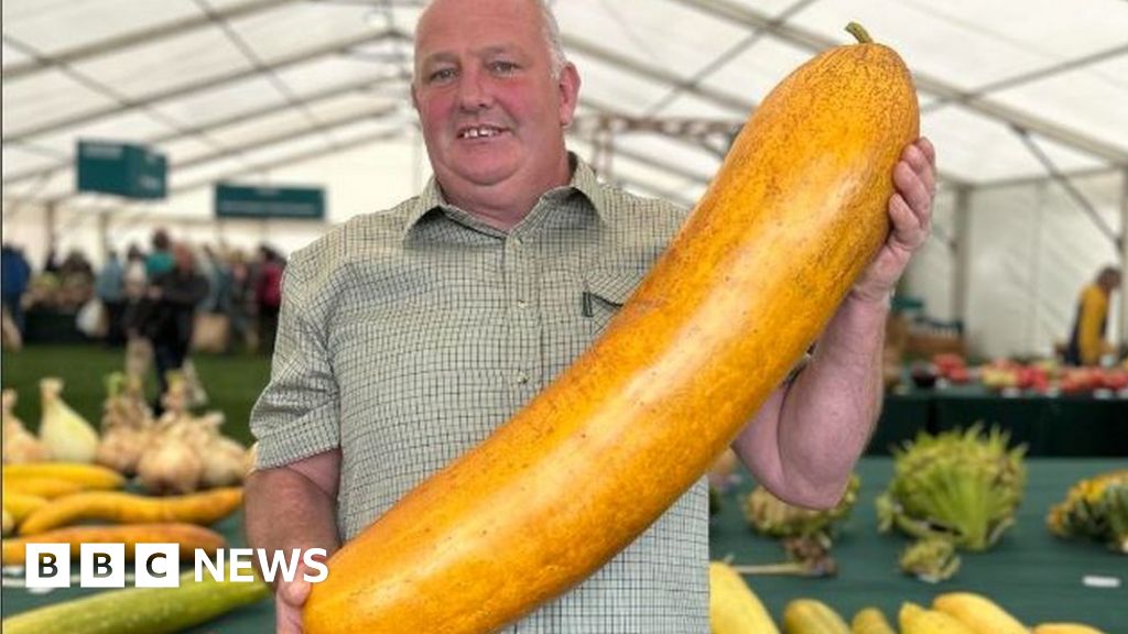 Barry: 'Vince the Veg' grows world's heaviest cucumber