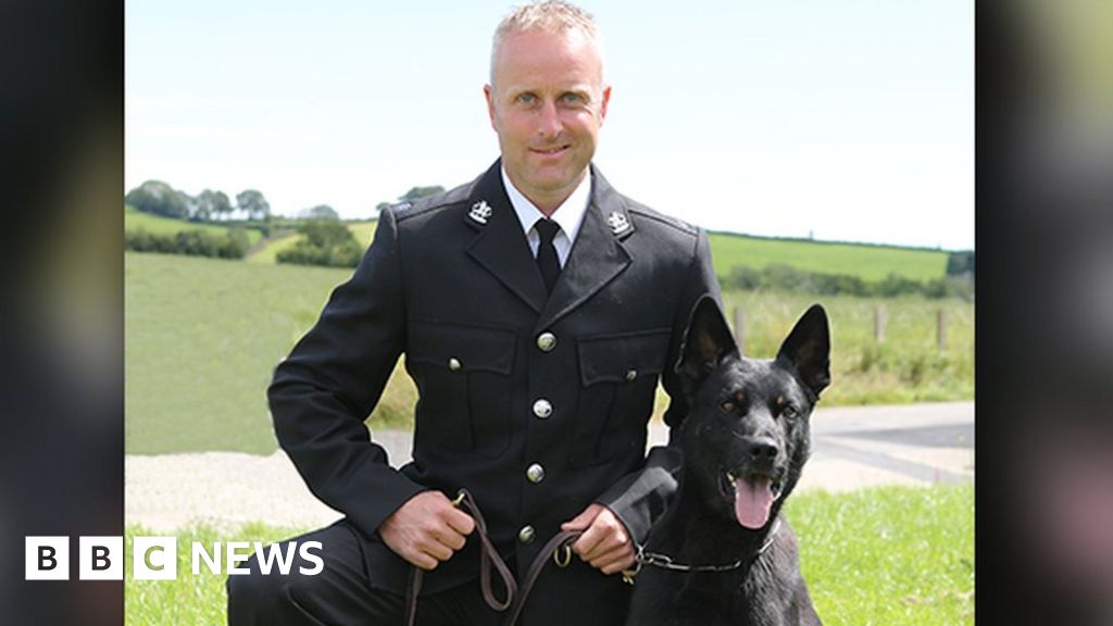 Dyfed-Powys Police dog wins award for mum and baby rescue