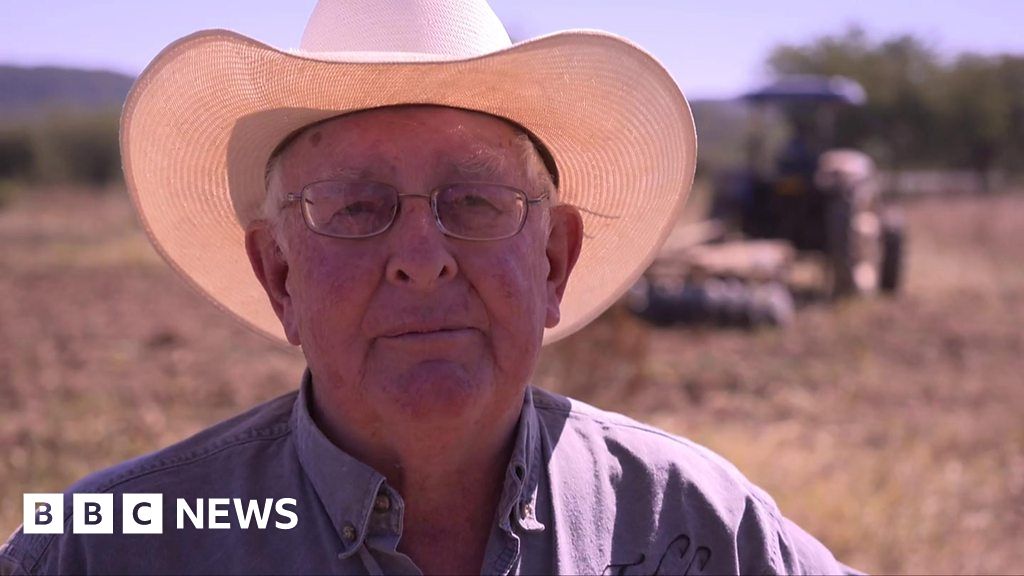 Zimbabwe: Exiled white farmers return
