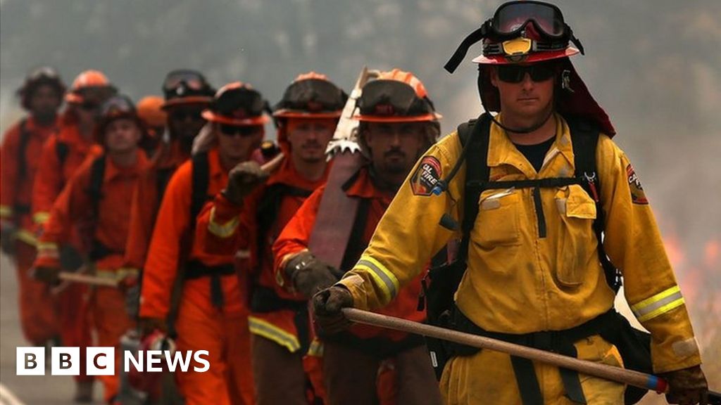 The Prisoners Fighting Wildfires In California Bbc News